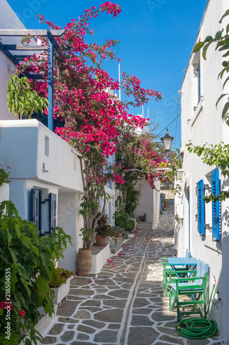 Fototapeta Naklejka Na Ścianę i Meble -  View of a typical narrow street in old town of Naoussa, Paros island, Cyclades, Greece