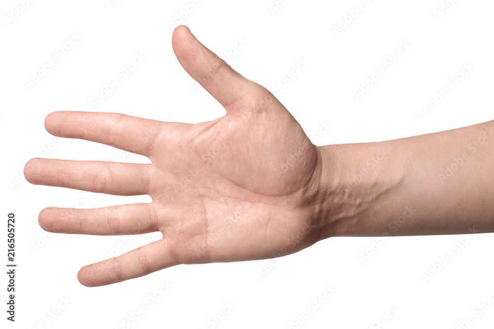 A hand with a straightened empty palm, isolated on white background A hand with a straightened empty palm, isolated on white background
