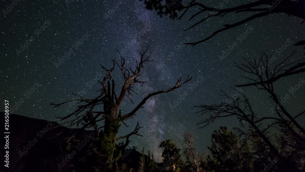 Milky way motion time lapse through some petrified trees in Wyoming Milky way motion time lapse through some petrified trees in Wyoming