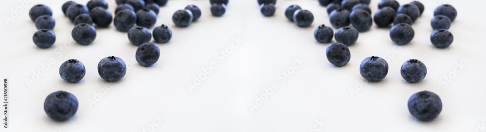 Blueberries and cranberries, berries on a white background. Berry light background. Blueberries and cranberries, berries on a white background. Berry light background.