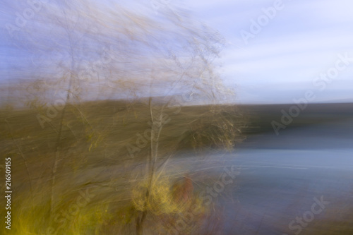 Abstract intentional motion blured photo of trees and vegetation and lake during late summer sunset