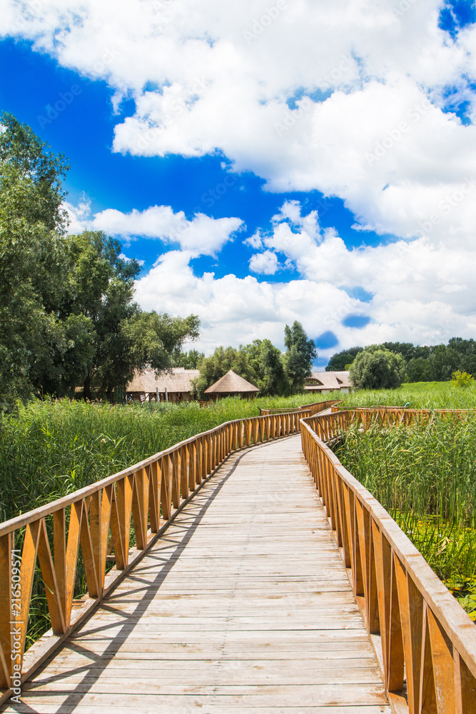 Nature park Kopacki rit in Slavonia, Croatia, popular tourist destination and birds reservation. Long wooden path. Countryside landscape.