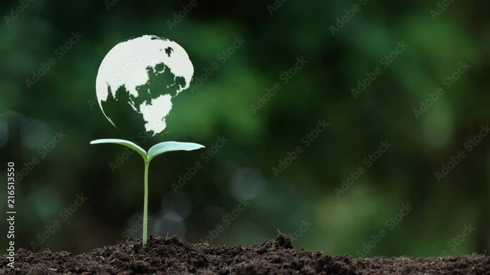 Planting a tree and the earth rotation hologram for save the earth and natural , clean ecology in natural.