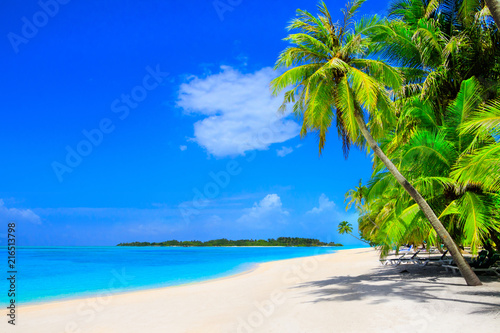 Fototapeta Naklejka Na Ścianę i Meble -  Dream beach with palm trees on white sand and turquoise ocean