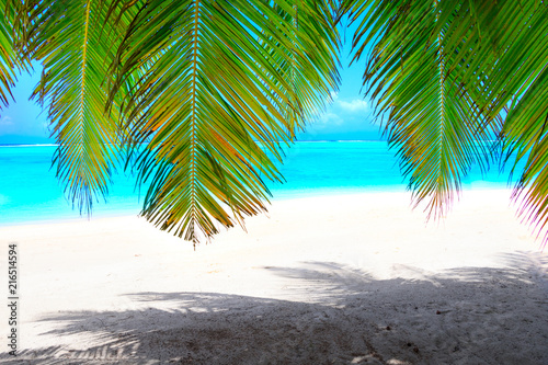 White dream beach with green palm leaves in front of turquoise ocean