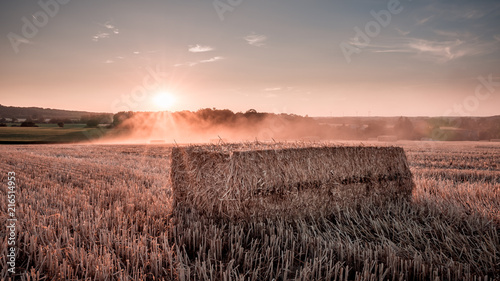 Summer sunset