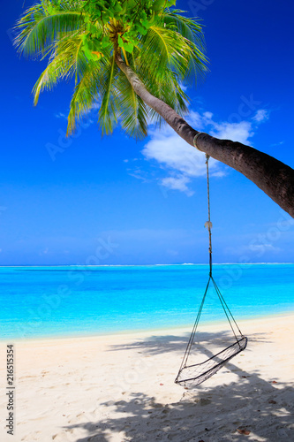 Dream beach with palm trees and swing on white sand and turquoise ocean
