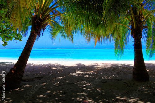 Dream beach with palm trees on white sand and turquoise ocean
