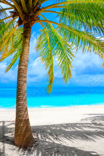 Fototapeta Naklejka Na Ścianę i Meble -  Dream beach with palm trees on white sand and turquoise ocean