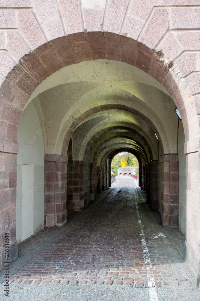 Fototapeta premium Neuf Brisach Elsas Frankreich