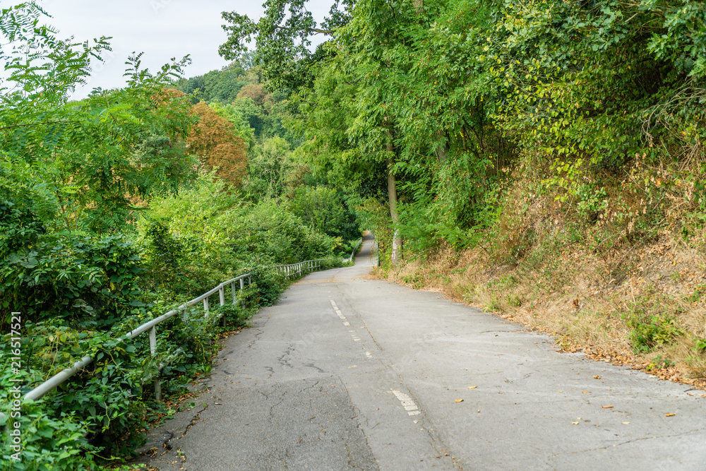 Fototapeta premium Walk path