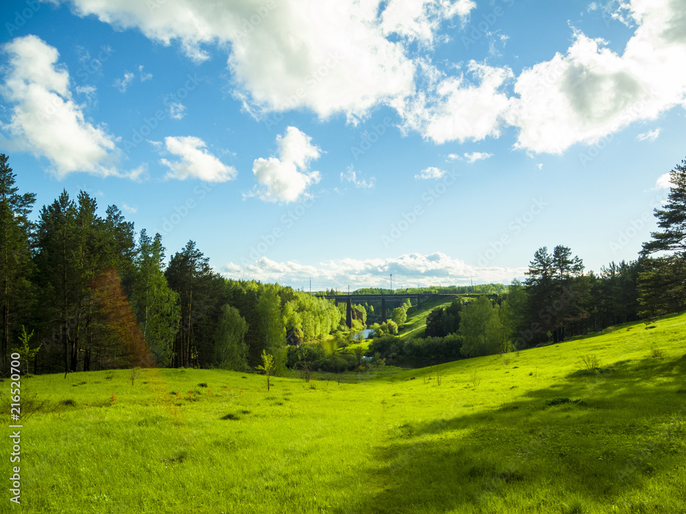 Obraz premium Summer landscape.