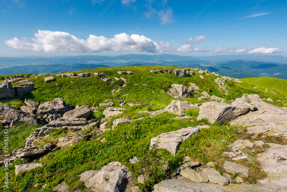 fresh summer landscape in mountains. beautiful location of carpathian mountain. explore the world concept
