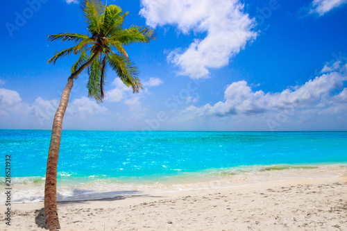Dream beach with palm tree on white sand and turquoise ocean