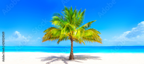 Fototapeta Naklejka Na Ścianę i Meble -  Surreal and wonderful dream beach with palm tree on white sand and turquoise ocean