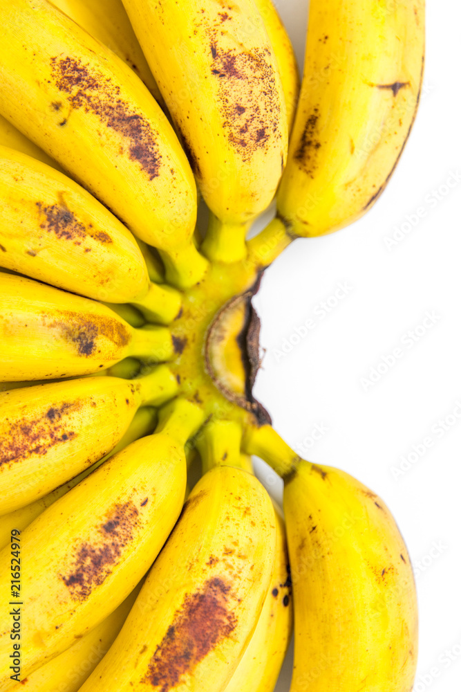 cluster of ripe delicious baby bananas on white background with copy space
