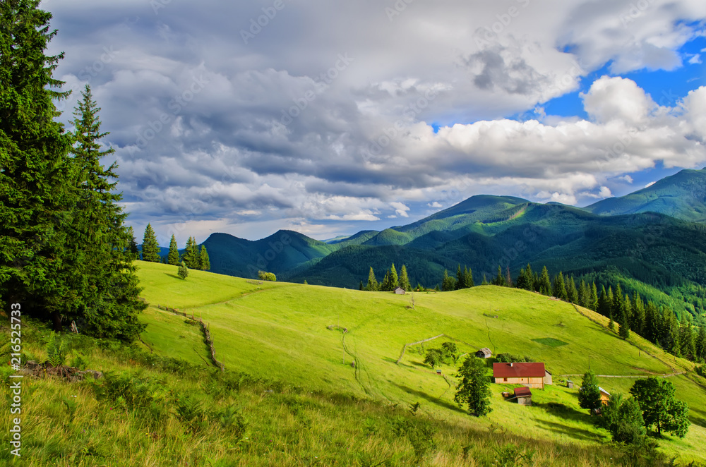 pasture on the mountainside in sunny weather