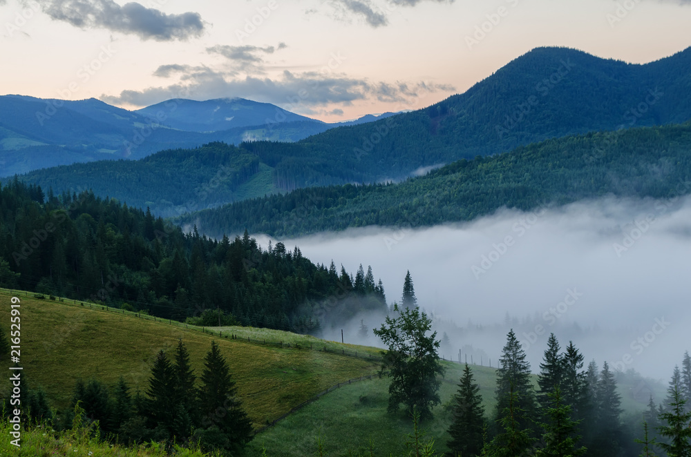 dense fog in the mountains before sunrise