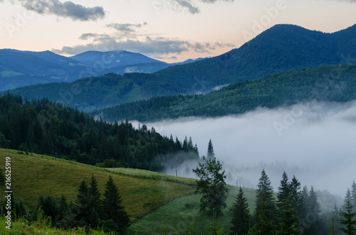 dense fog in the mountains before sunrise