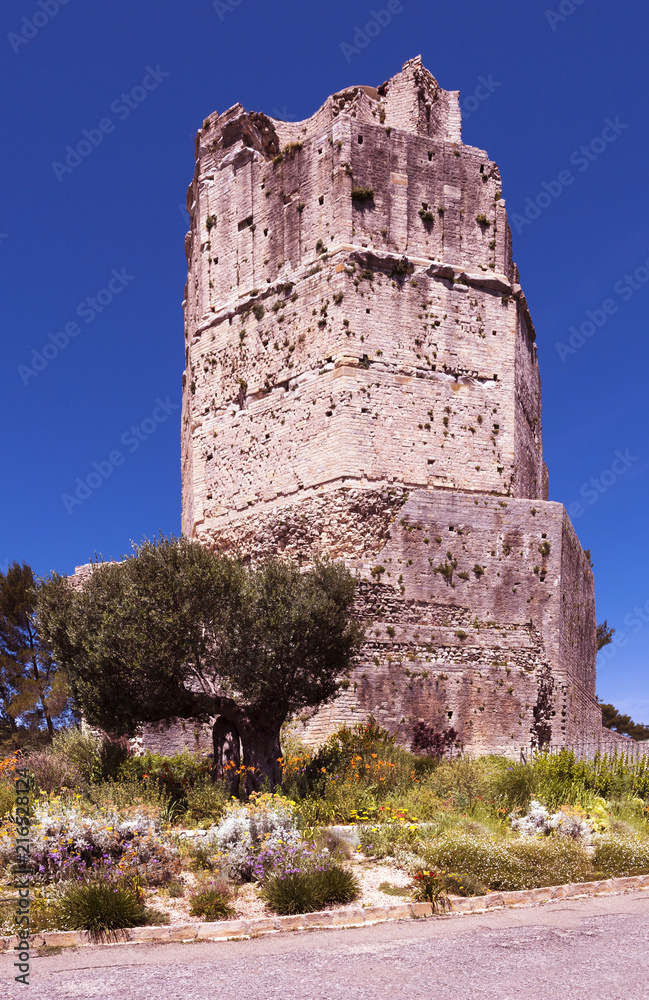 The Roman Tour de Magne, or Magne Tower, in the Jardin de la Fontaine in Nimes. Gard, Provence, France, Europe