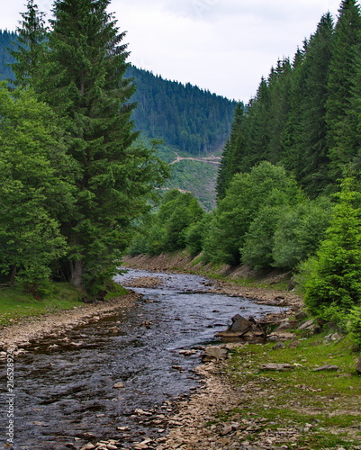 Mountain stream in the Ukrainian Carpathians