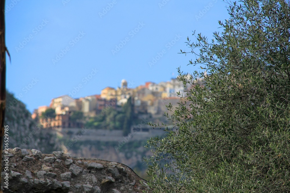Blick auf  die Stadt Taormina und Baum im Vordergrund