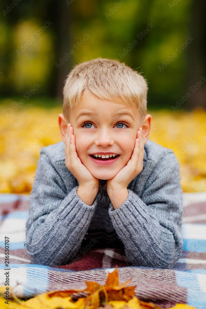 portrait of a happy child, a boy in autumn in yellow leaves portrait of a happy child, a boy in autumn in yellow leaves