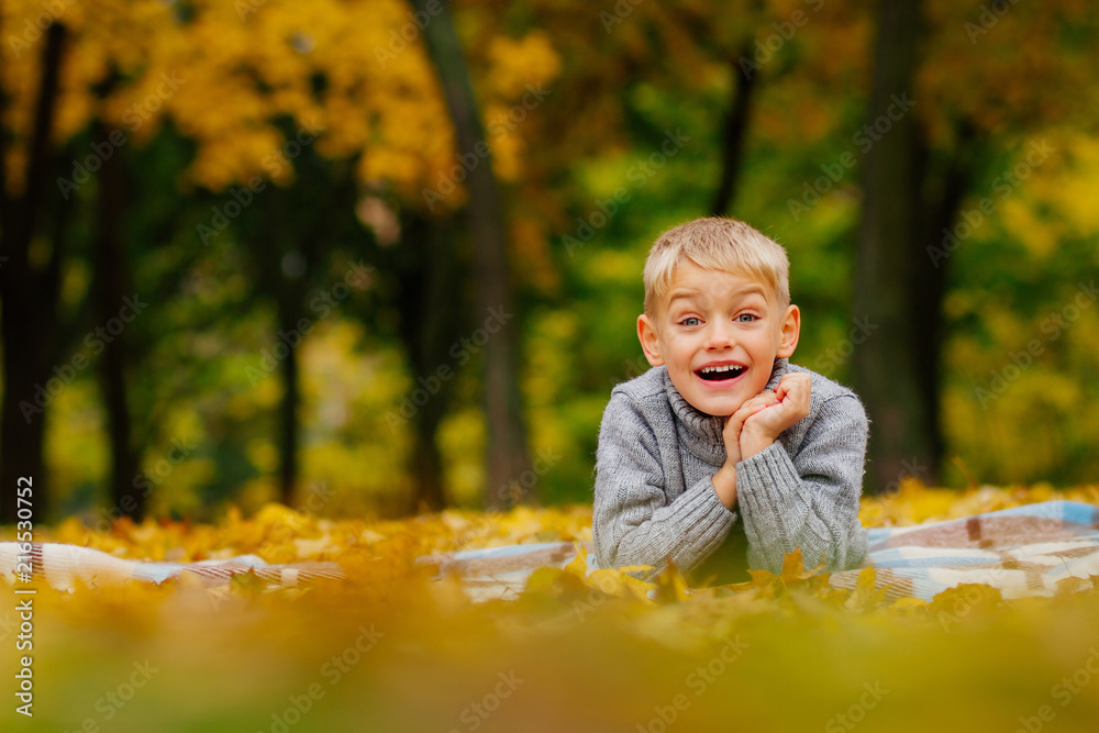 the boy is surprised , baby emotions , the little boy in the autumn yellow leaves the boy is surprised , baby emotions , the little boy in the autumn yellow leaves