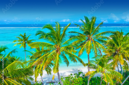 Palm trees on the sandy beach and turquoise ocean from above