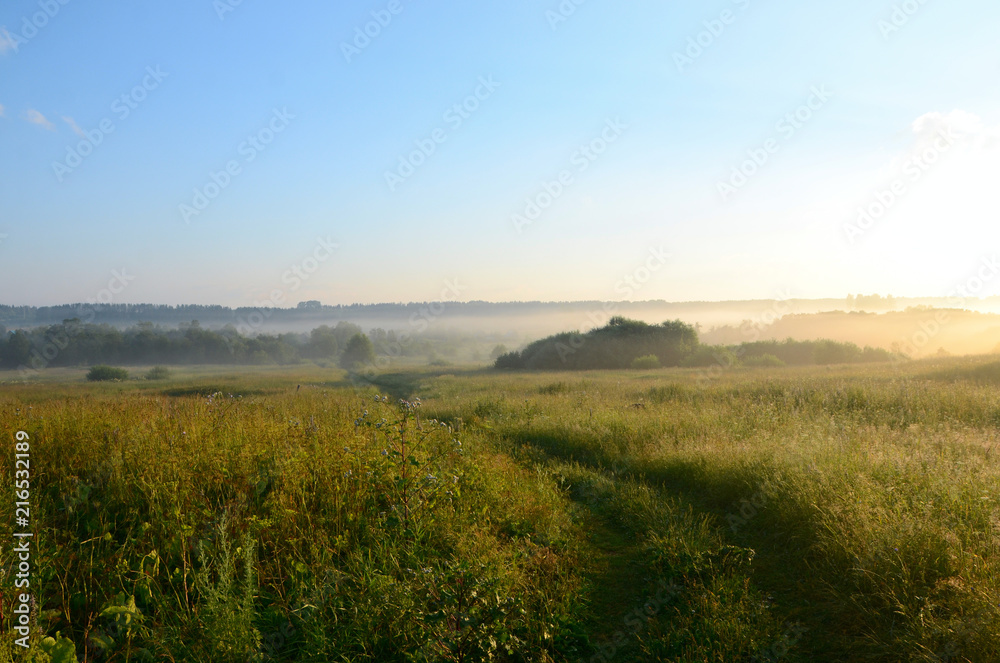 beautiful field landscape