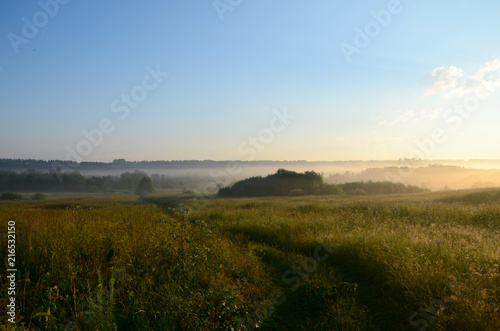 beautiful field landscape © vladimirvu