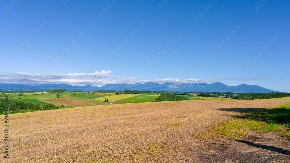 Panoramic  view of Patchroad with golden rice field and mountain range in Biei