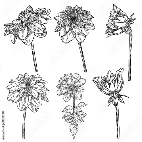 Billede på lærred Flowers set