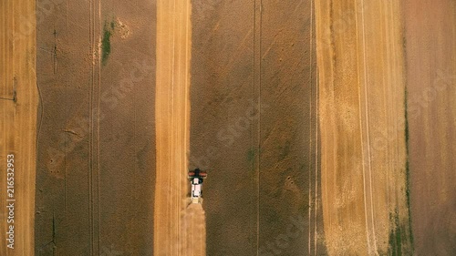 Combain Harvester Working in Wheat Field, Aerial View photo