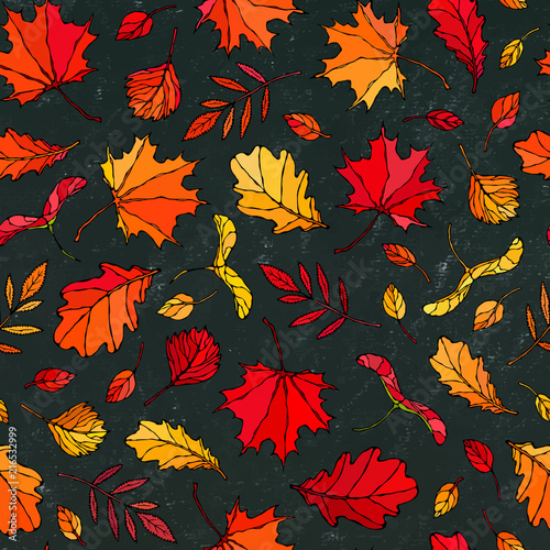 Black Board. Seamless Endless Pattern of Autumn Leaves. Maple Rowan, Oak, Hawthorn, Birch. Red, Orange and Yellow. Realistic Hand Drawn High Quality Vector Illustration. Doodle Style. photo