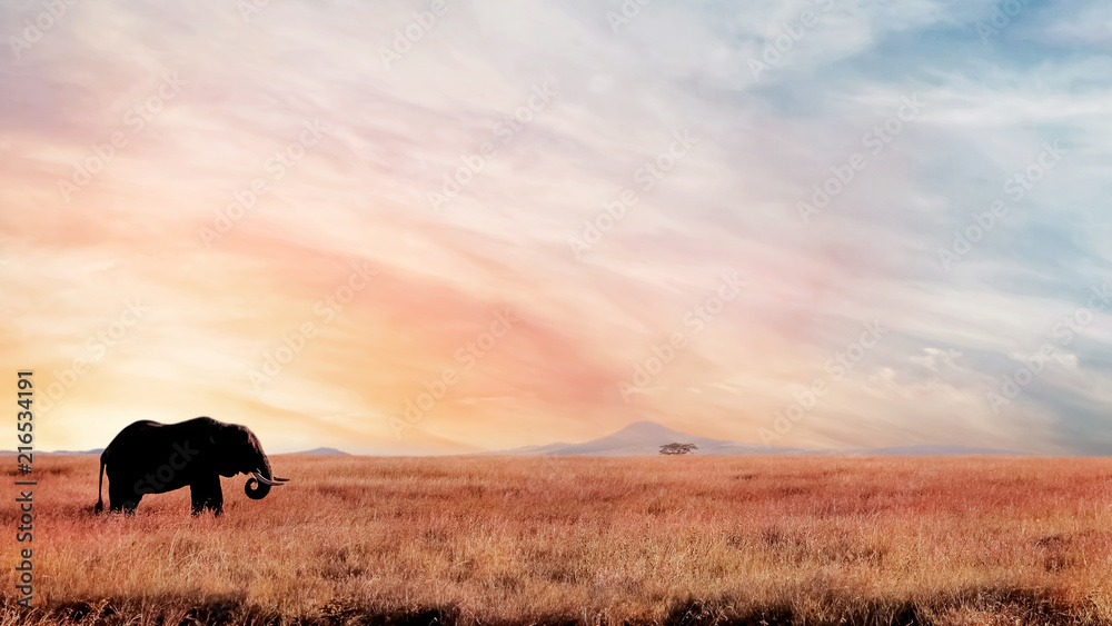 Lonely elephant in the savannah at sunset . African artistic image. National park Serengeti. - obrazy, fototapety, plakaty 