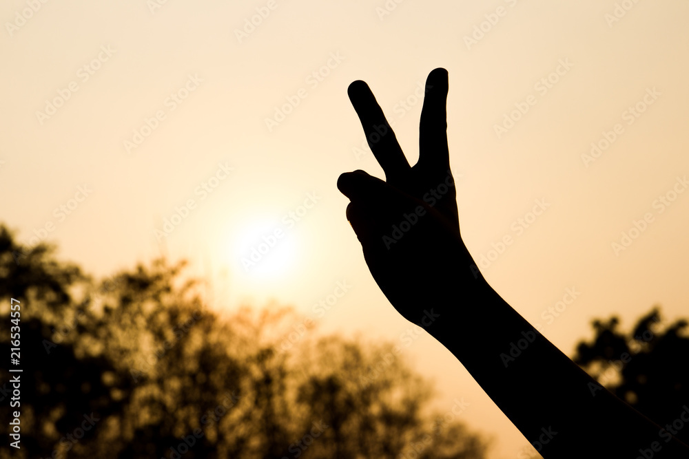 Shape of V finger silhouetted during sunset with forest in background.  Concept of flighting and successful businee person.