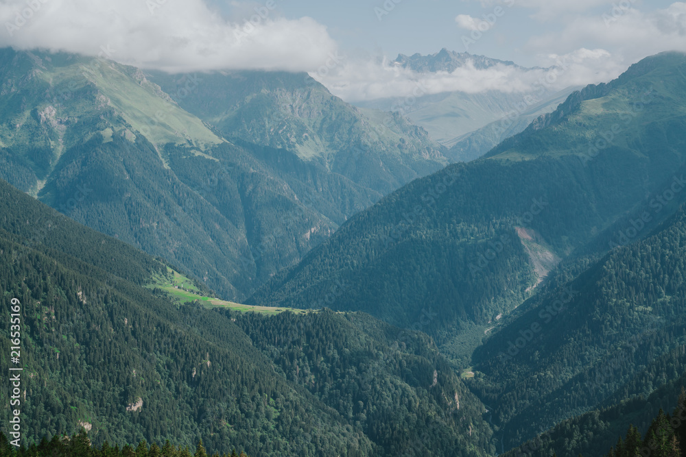 Obraz premium Kackar mountains with green forest landscapei n Rize,Turkey.