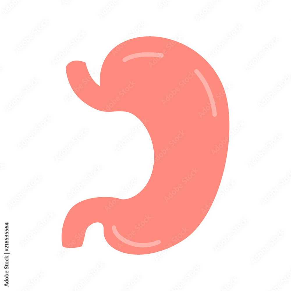 Obraz premium Human stomach color vector icon. Flat design