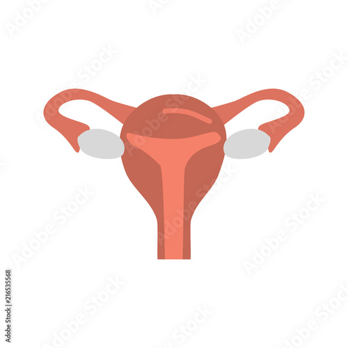 Female uterus color vector icon. Flat design