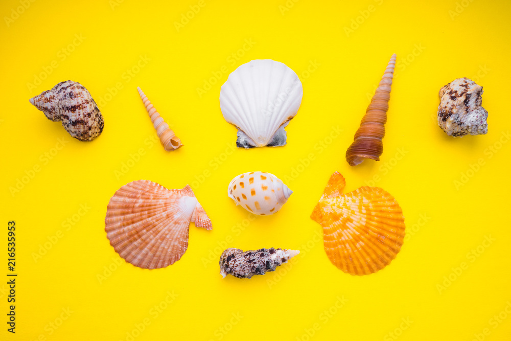 Fototapeta premium seashells on a yellow background