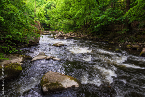 Landschaft im Bodetal im Harz