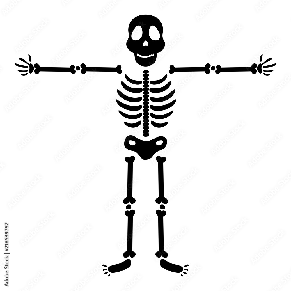 Human skeleton cartoon character Stock Vector | Adobe Stock