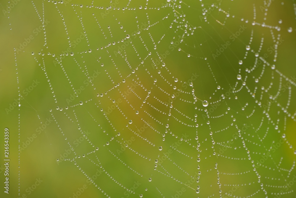 Dew 358 Dew 358