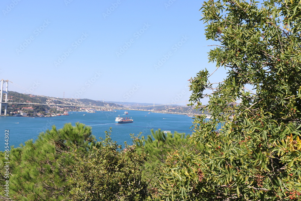 Bosphorus view from Fethipasa Grove
