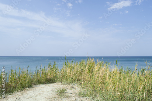 View of the distant sea over dry grass.