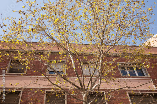 building 