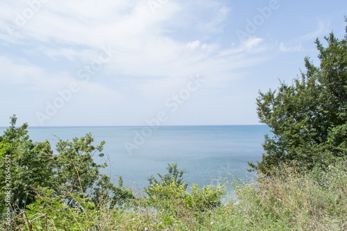 View of the distant sea over tree branches.
