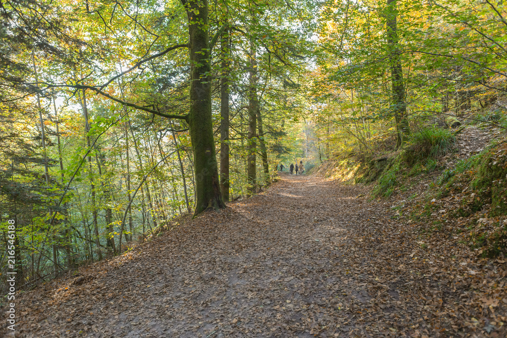 Fototapeta premium Chaos d'huelgoat