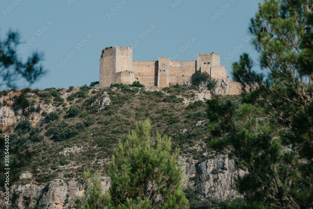 An ancient castle on the pick of the hill in the distance between spruces in Spain in the evening. El Castillo de Chirel. 